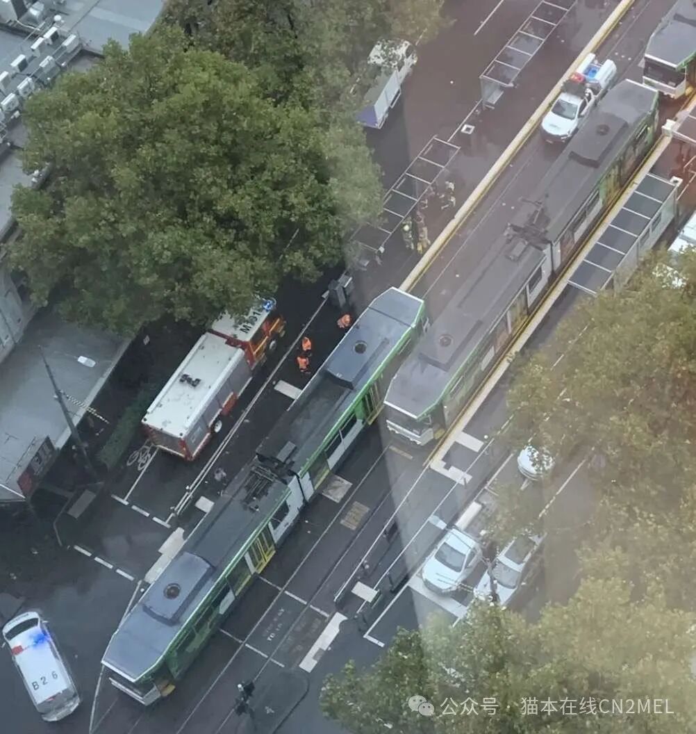 维州年轻女子上周遭前男友谋杀焚尸；墨尔本一行人昨天卷入电车底下（组图） - 3