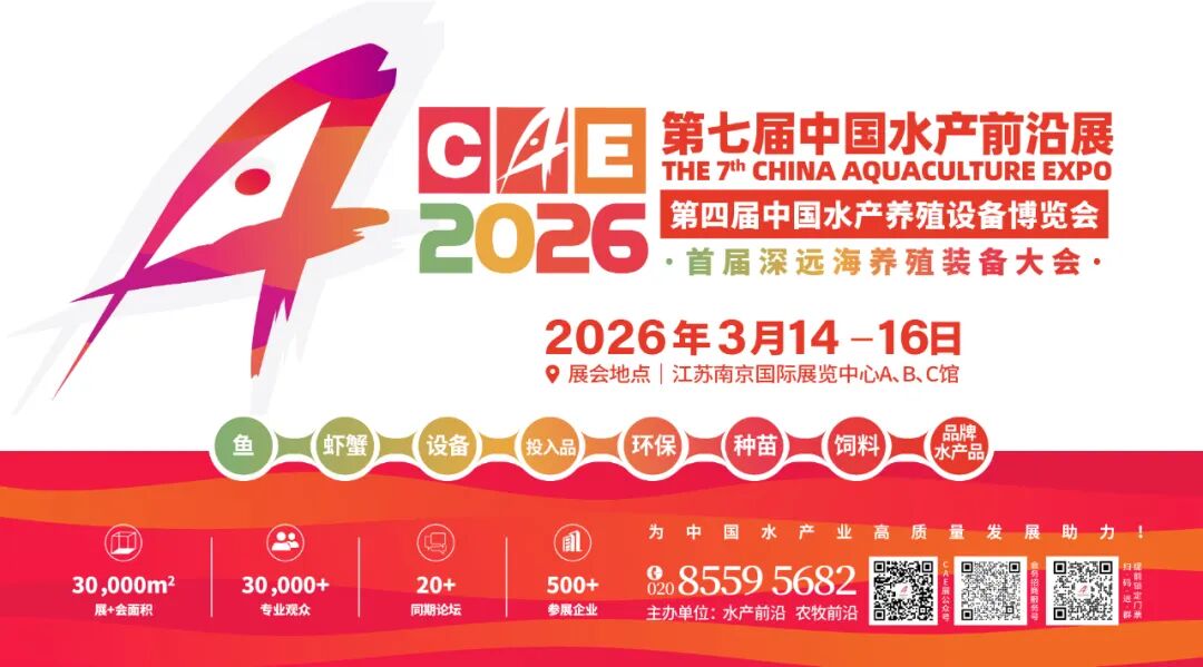 今年第23号台风