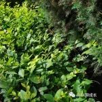 “天渡人，有预兆”：老天一般不会明着帮你，而是给你这些暗示