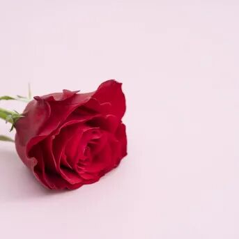 因为有你！“警”上添花 警务在线 第19张