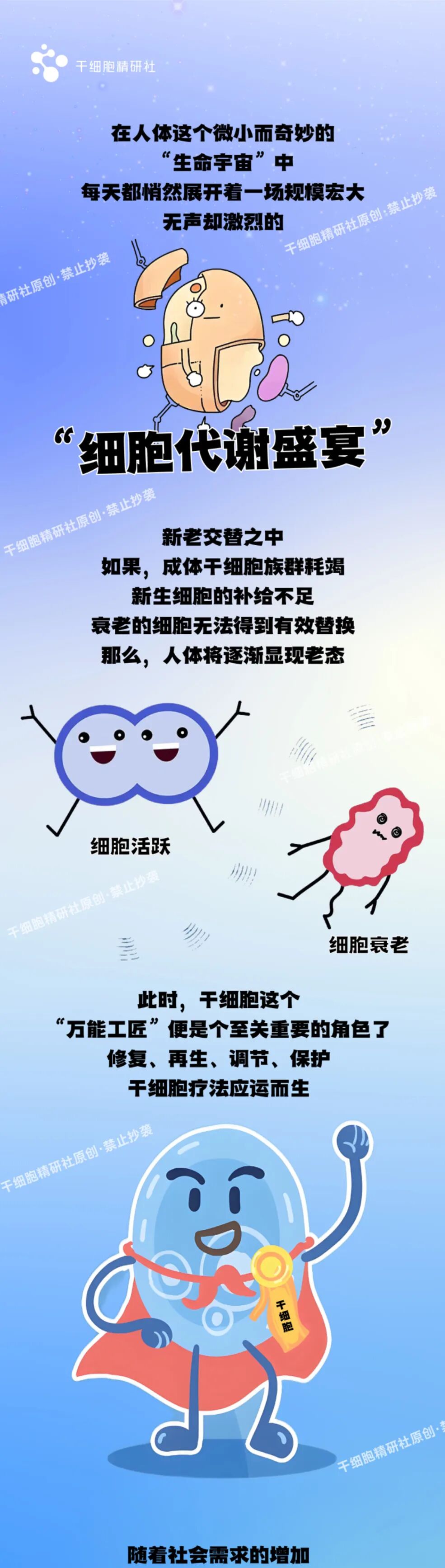 干细胞在抗衰老领域的奥秘