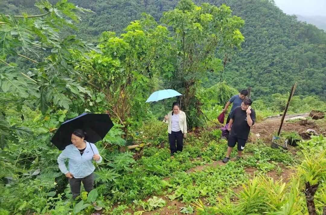 全力应对台风桦加沙