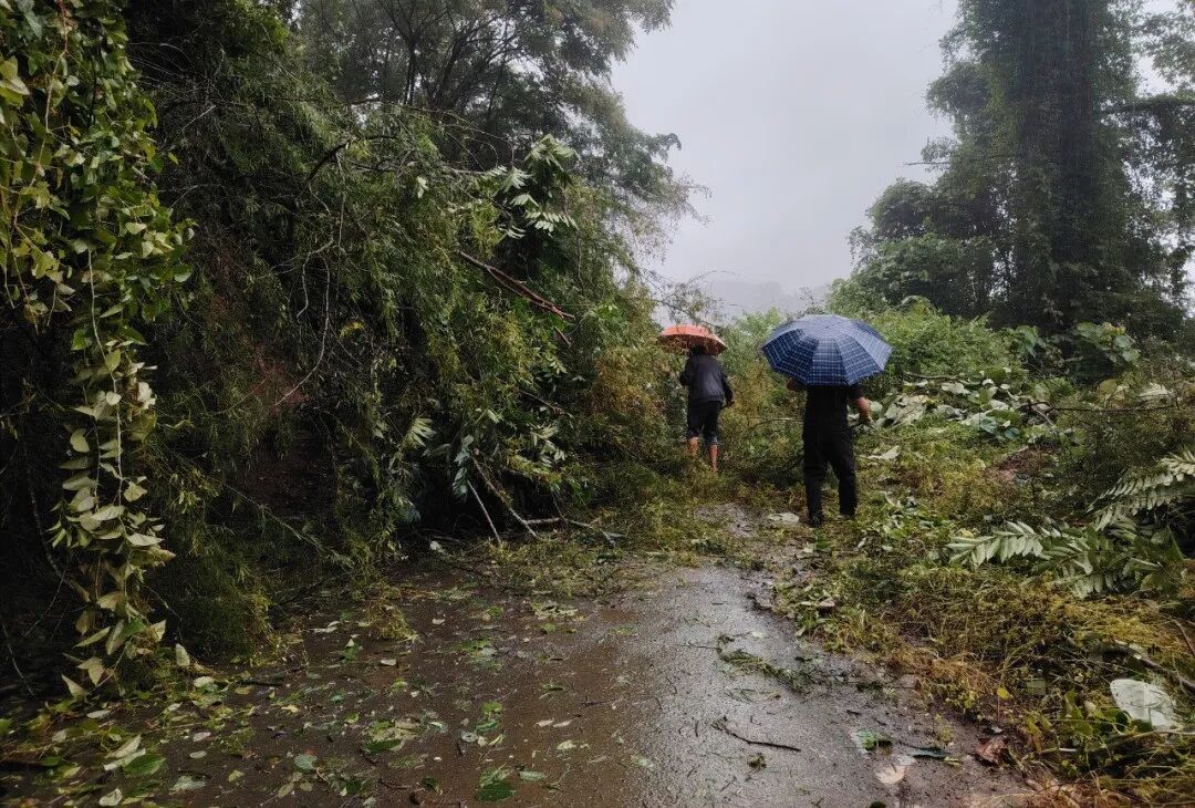 全力应对台风桦加沙