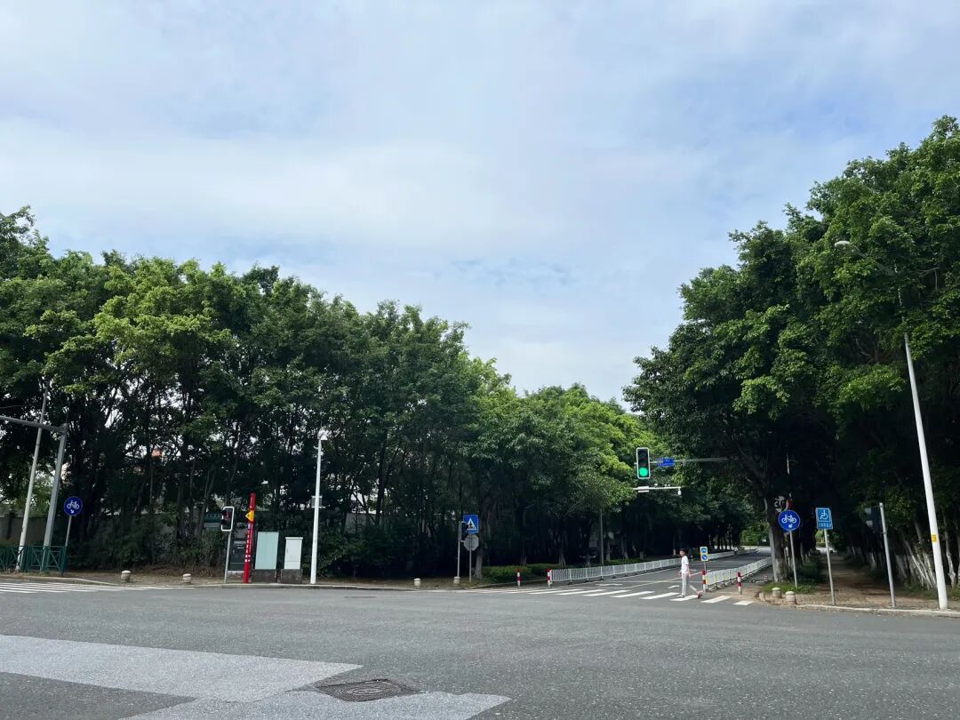 番禺大学城【大学小筑】一手新房180㎡~270㎡，单价8字头！