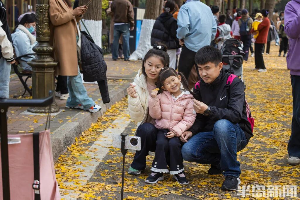 银杏叶魔法帽火了