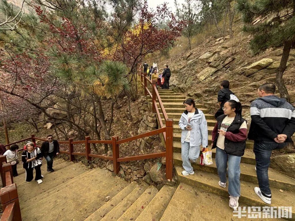 银杏叶魔法帽火了,青岛八大关，乌泱泱的人为一件事而来！一款“魔法帽”火了！现场照..