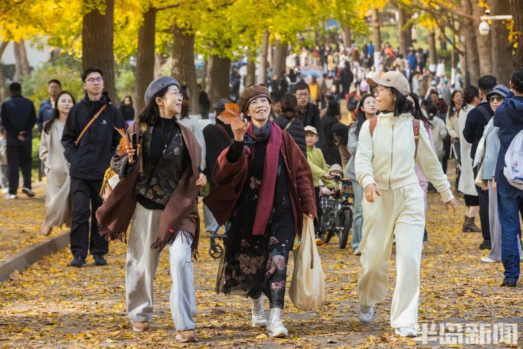 银杏叶魔法帽火了