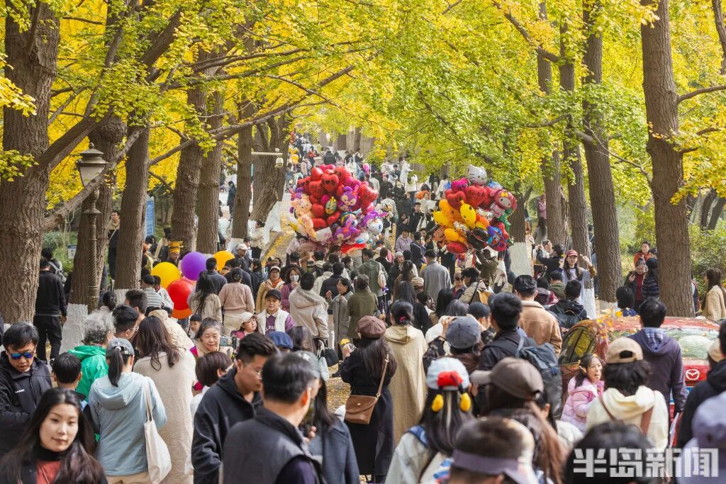 银杏叶魔法帽火了