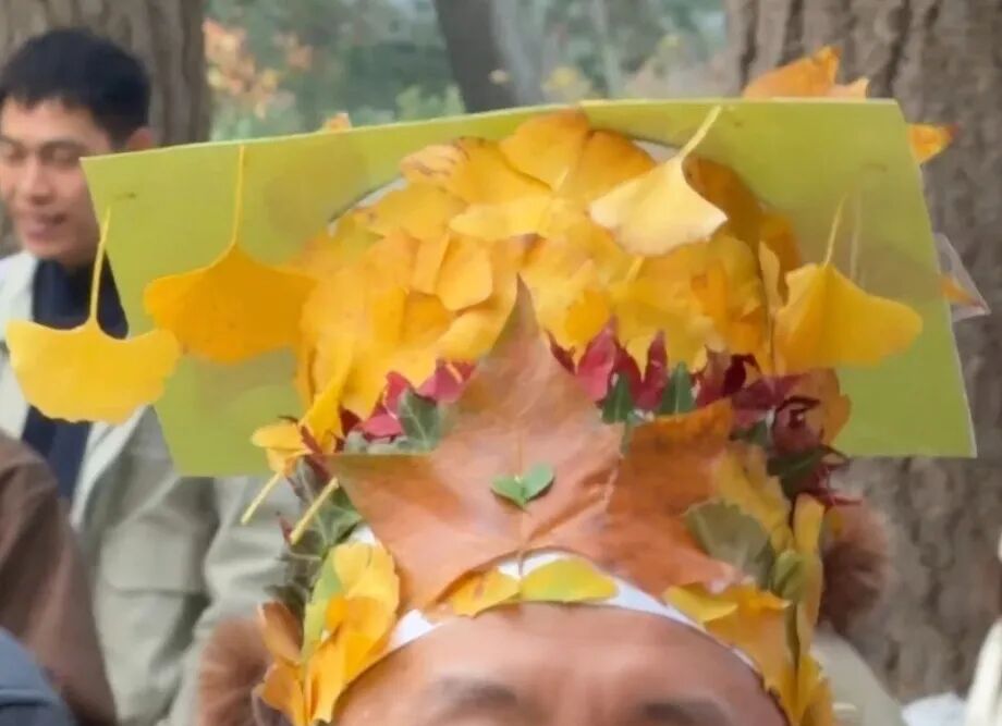 银杏叶魔法帽火了