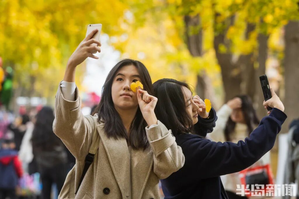 银杏叶魔法帽火了