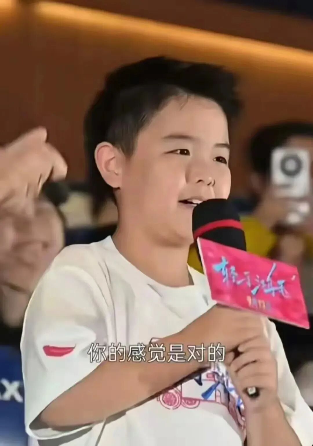 霍思燕说朵朵早晚接陈思诚的班