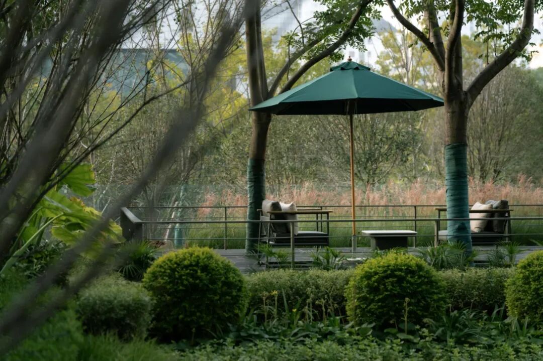 合肥 城改·万科·观山隐秀大区