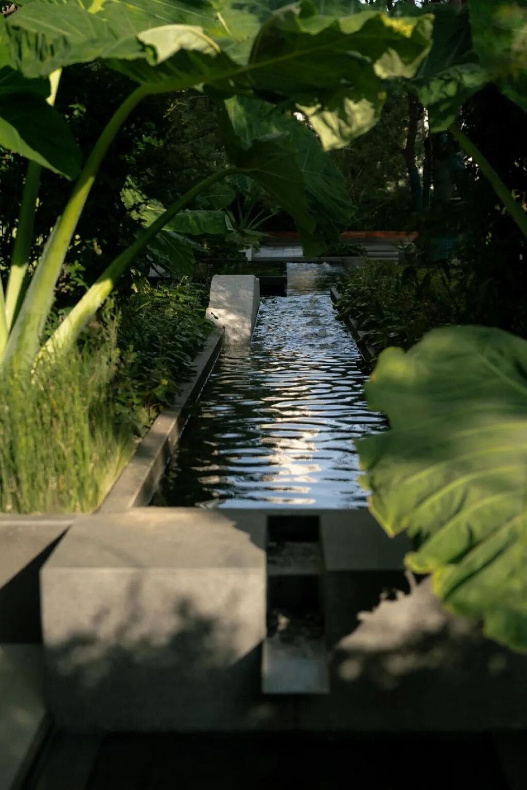 合肥 城改·万科·观山隐秀大区