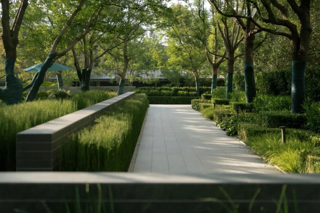 合肥 城改·万科·观山隐秀大区