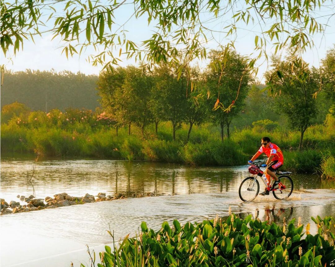 河道景观改造案例_临水是哪个省的城市_河道景观
