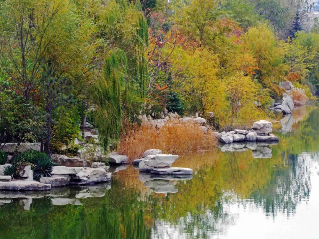 临水是哪个省的城市_河道景观_河道景观改造案例