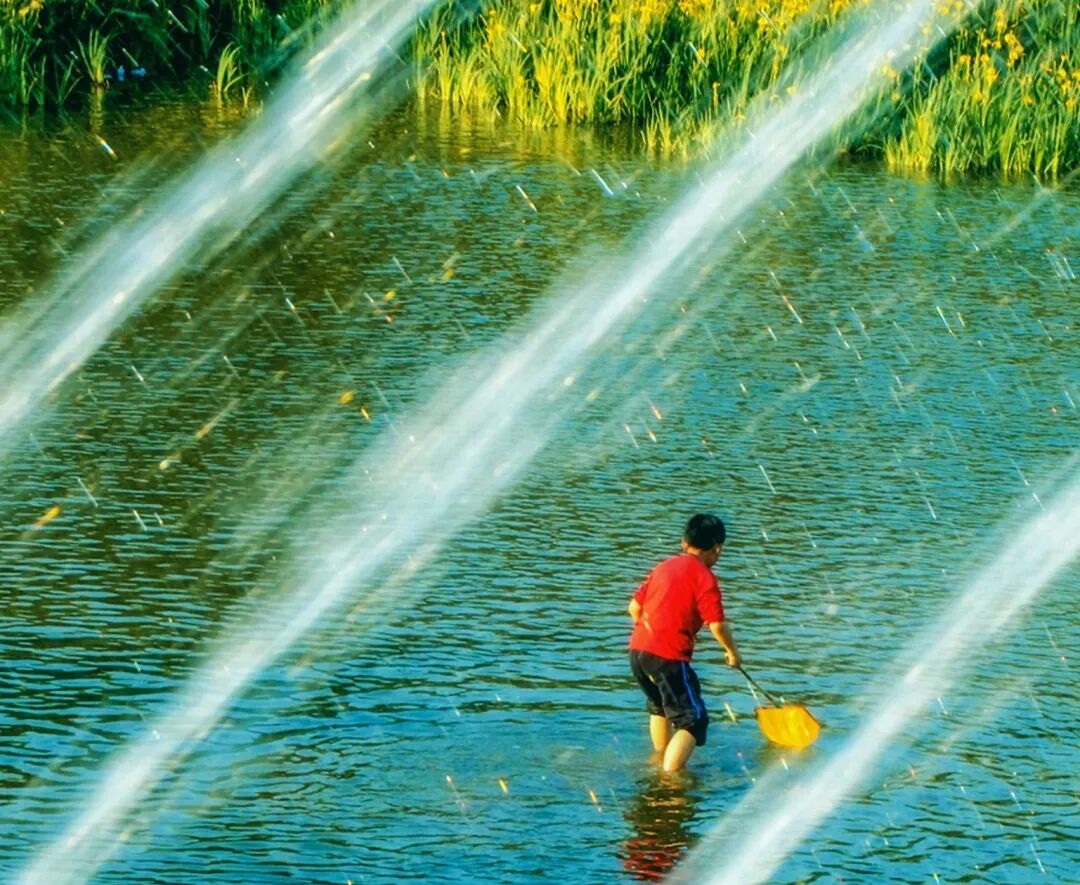 临水是哪个省的城市_河道景观_河道景观改造案例