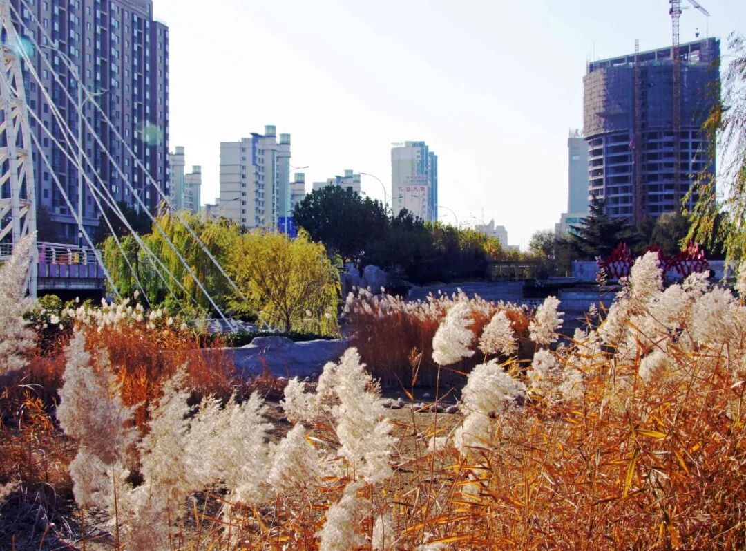 临水是哪个省的城市_河道景观改造案例_河道景观