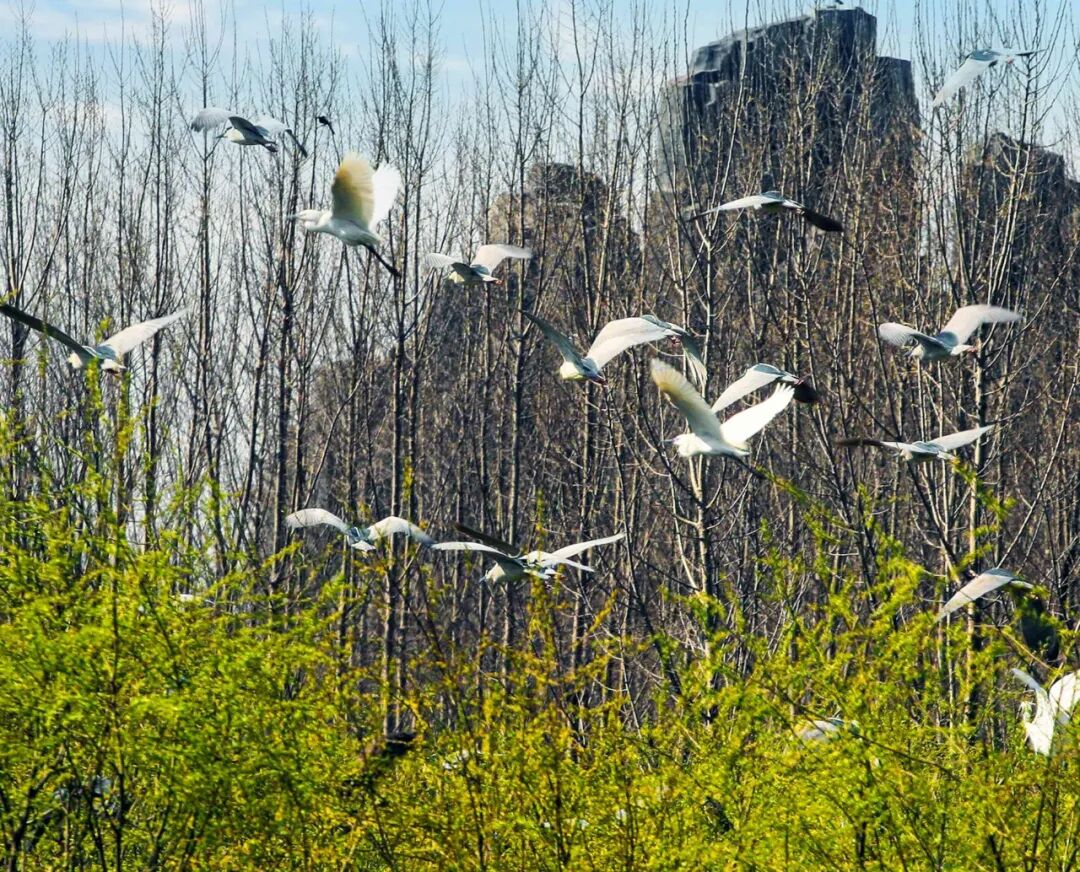 河道景观_河道景观改造案例_临水是哪个省的城市