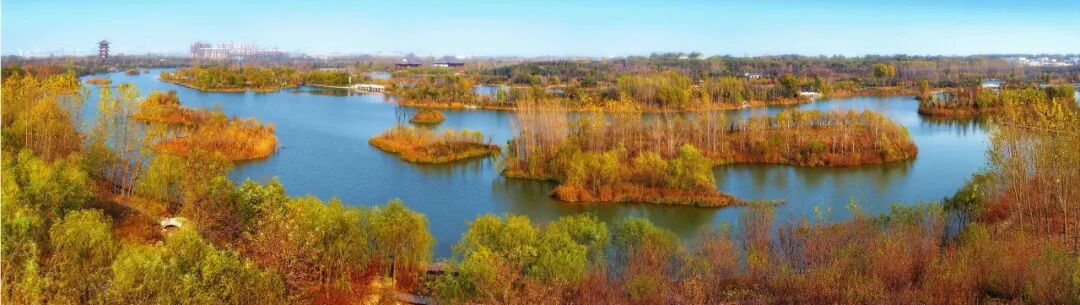河道景观_临水是哪个省的城市_河道景观改造案例