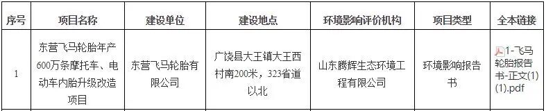600万条轮胎项目，有新进展