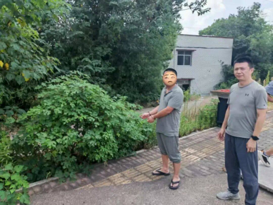ͼƬ
