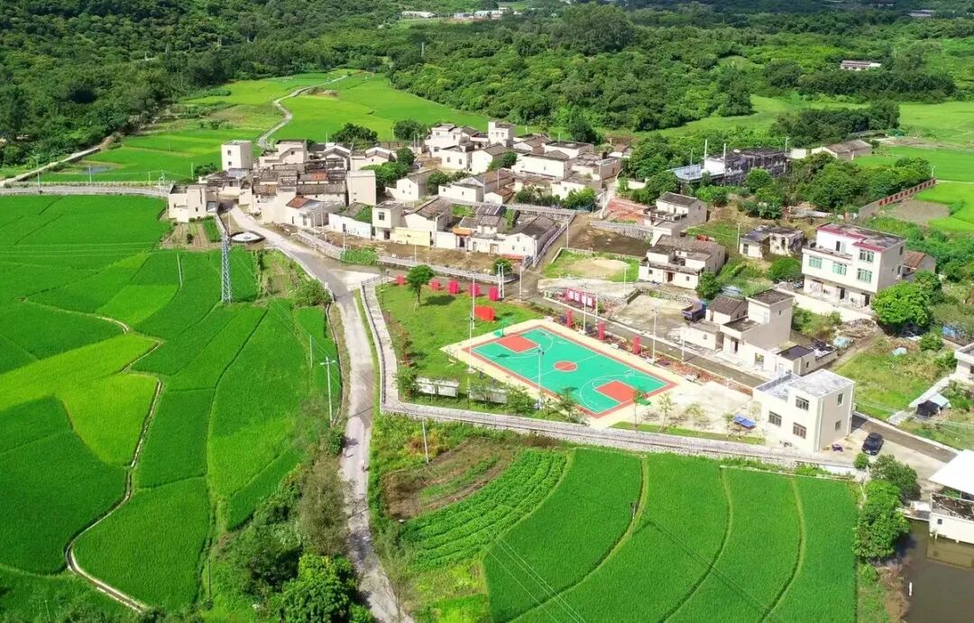 乡村振兴阳东区争创四好农村路全国示范县