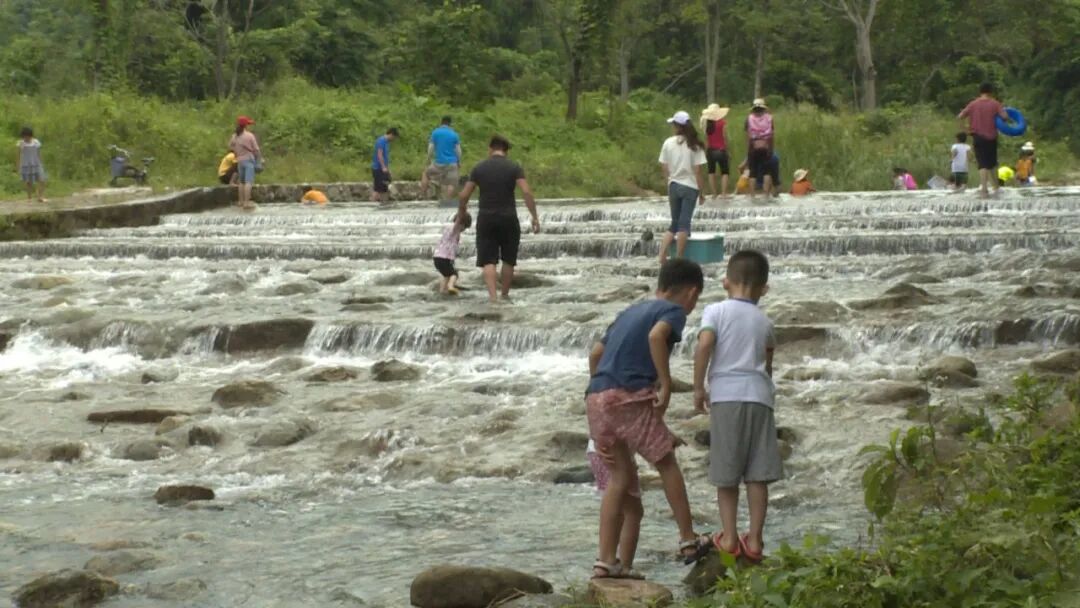 贯彻落实阳东区第九次党代会精神一把手访谈大八发挥生态资源优势打造