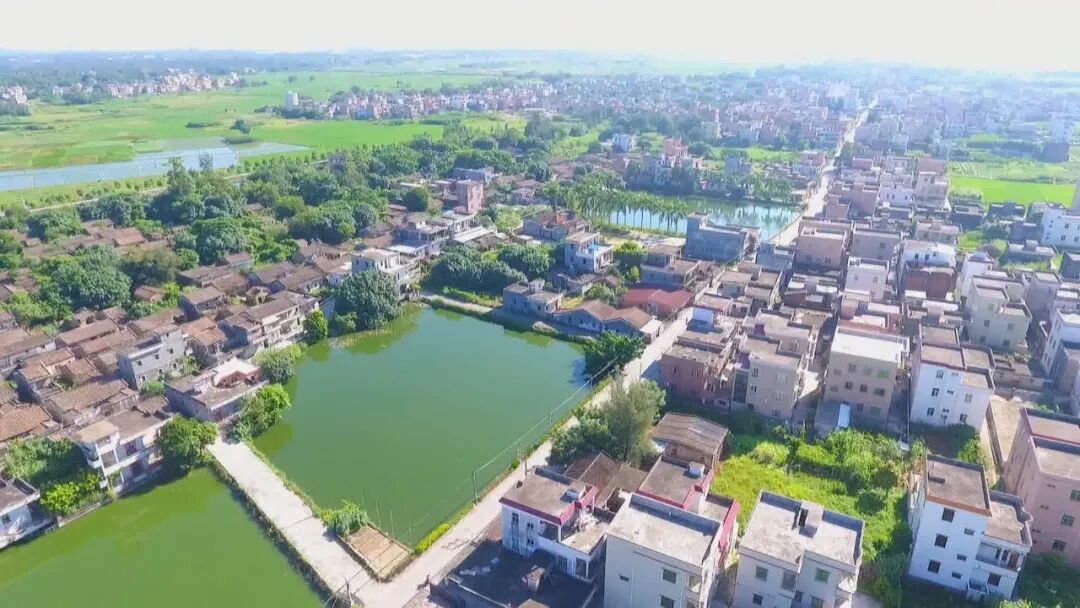 阳东区东城镇委书记雷振杰表示,东城镇将结合当地的实际情况,以推动