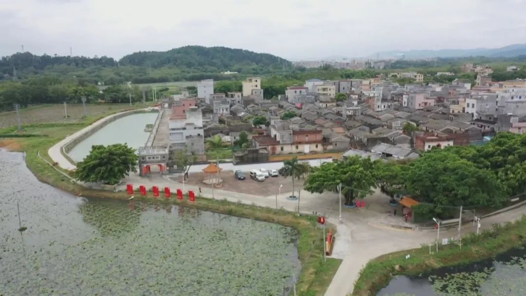 余金富先后来到阳东区东城镇丹载村乡村振兴产业园,那味村村级工业园