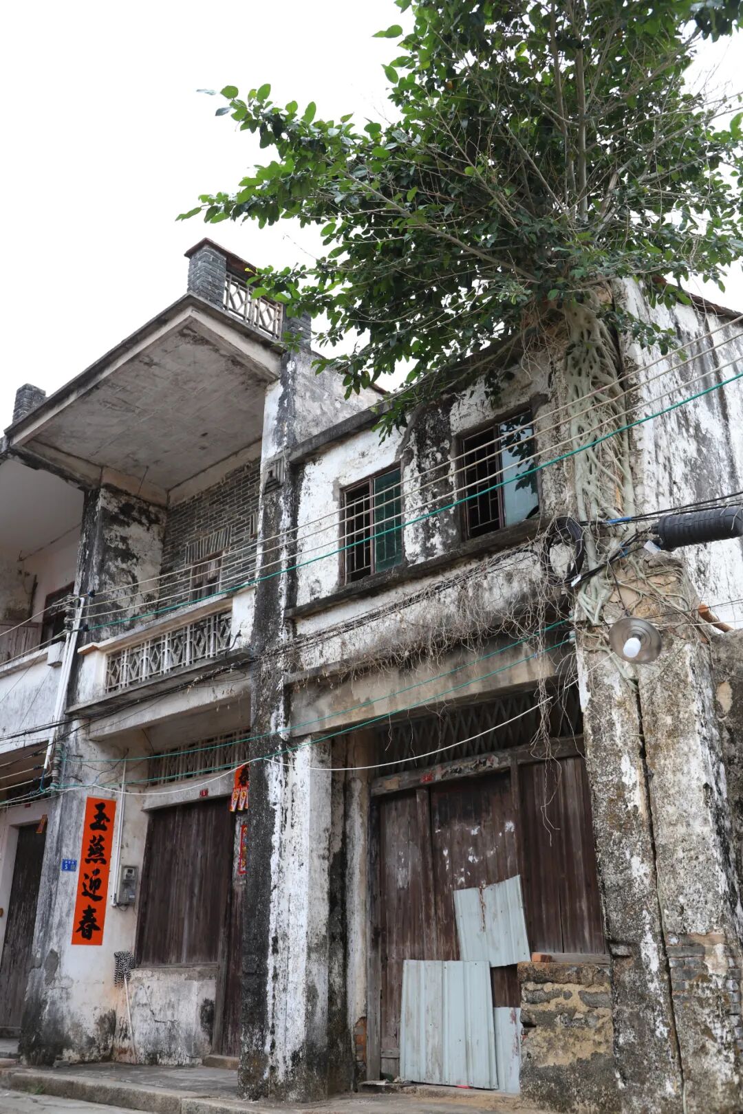 讲好革命故事助推高质量发展之二夜袭三丫盐警