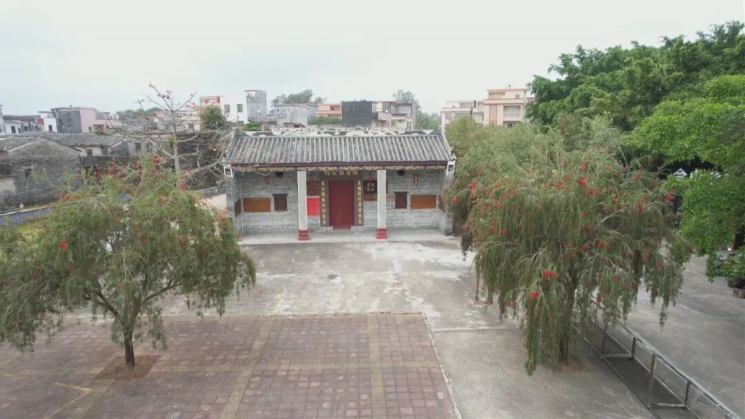 百千万工程走进典型村合山镇丰垌村四点一线农文旅融出好光景