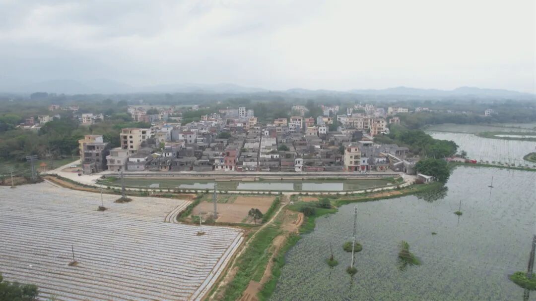 百千万工程走进典型村合山镇丰垌村四点一线农文旅融出好光景