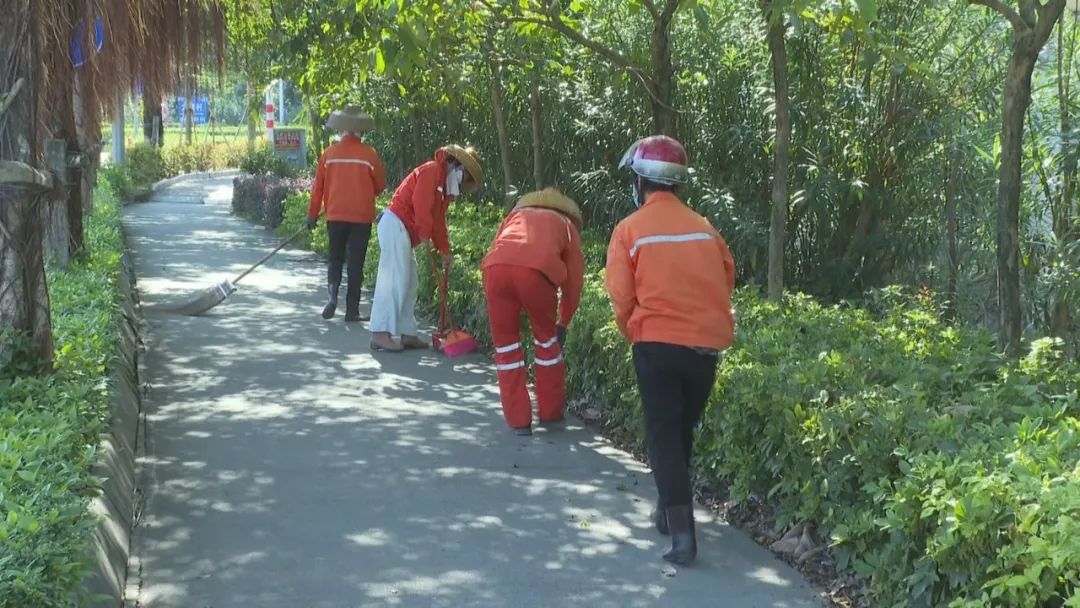 鄉村振興陽江核電踐行央企幫鎮扶村責任打造鄉村振興特色樣板