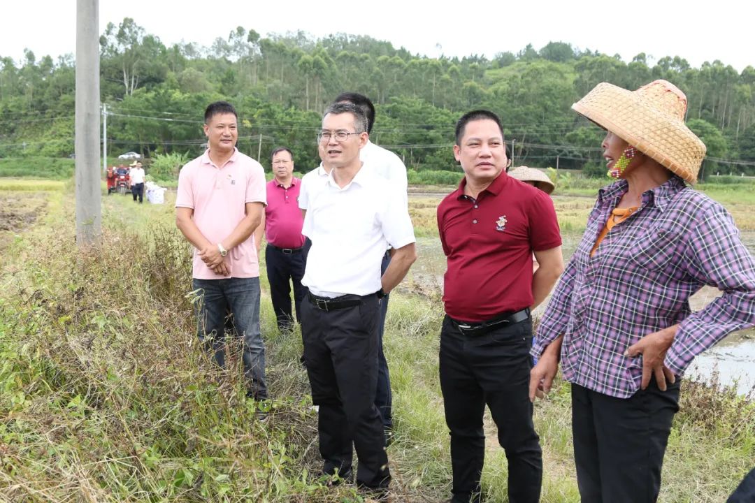 阳东区融媒体中心记者报道文字:杨凯茵摄像:何赞平摄影:阮昌发