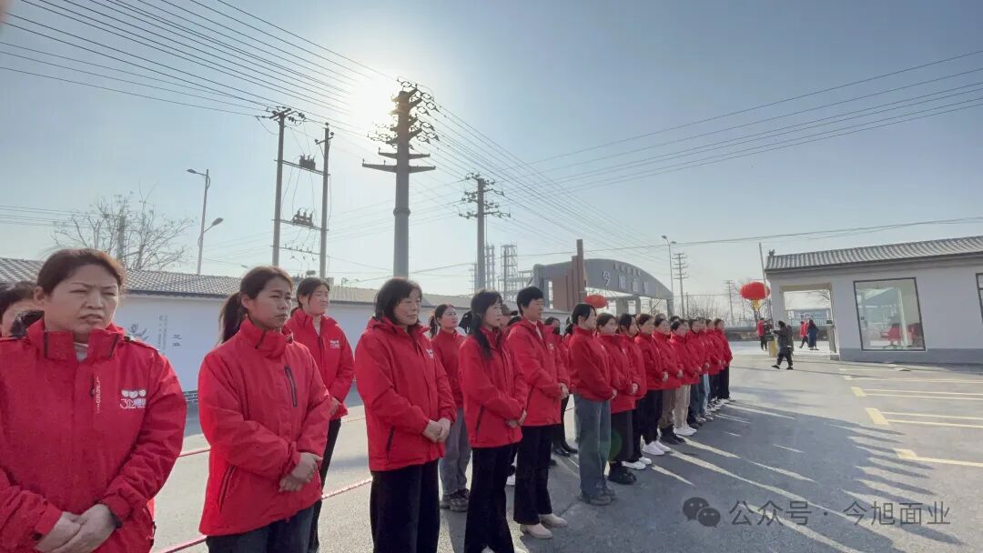 半干面,半干面厂家,鲜面厂家