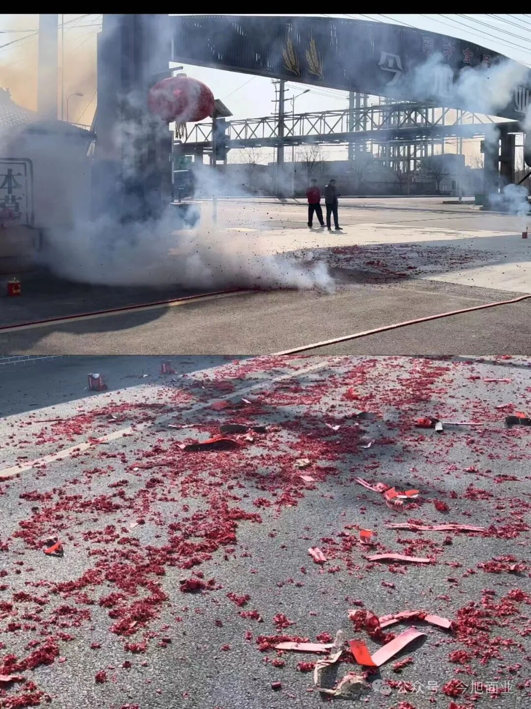 半干面,半干面厂家,鲜面厂家