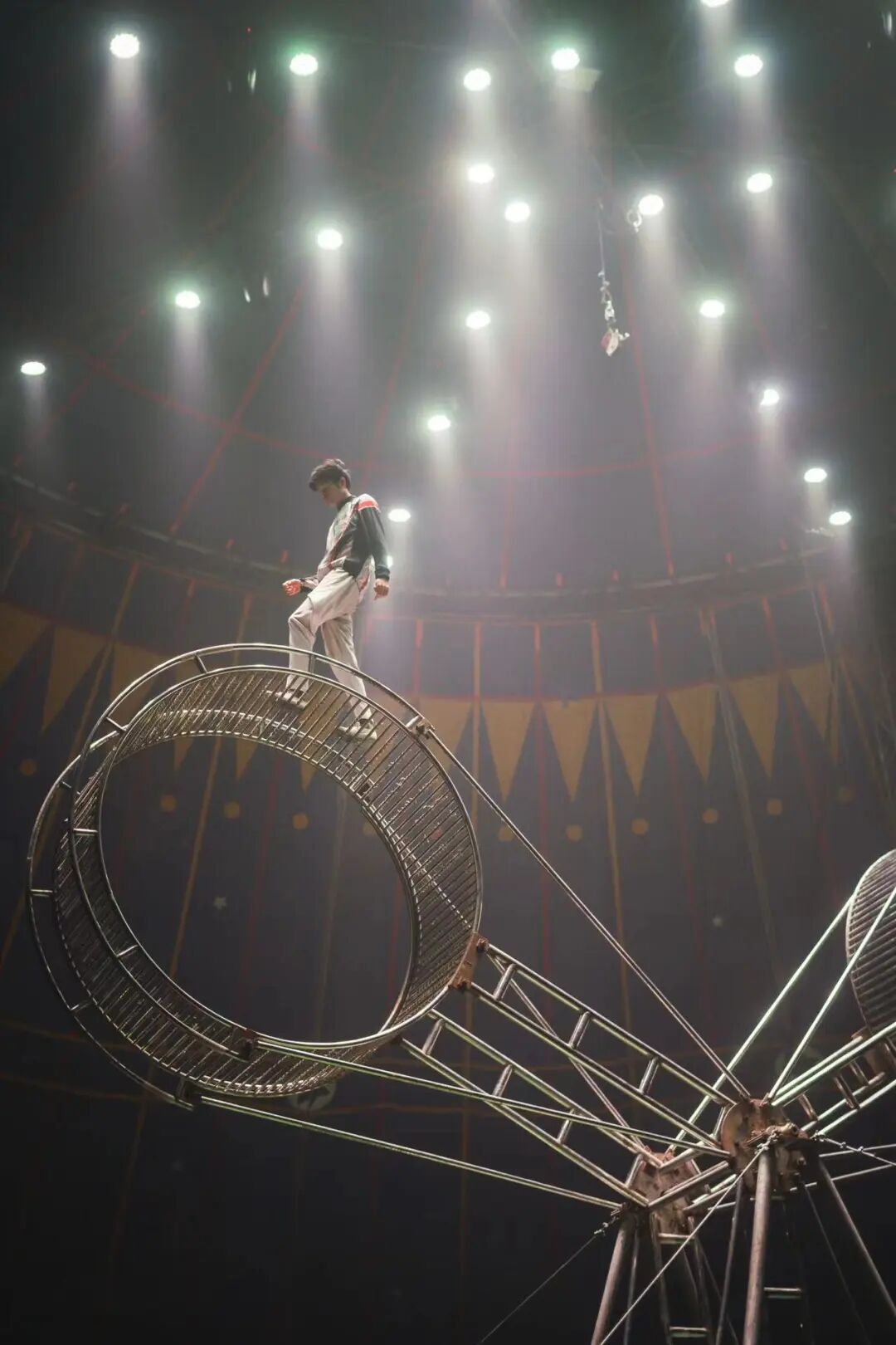 成都二环内居然还能看马戏团