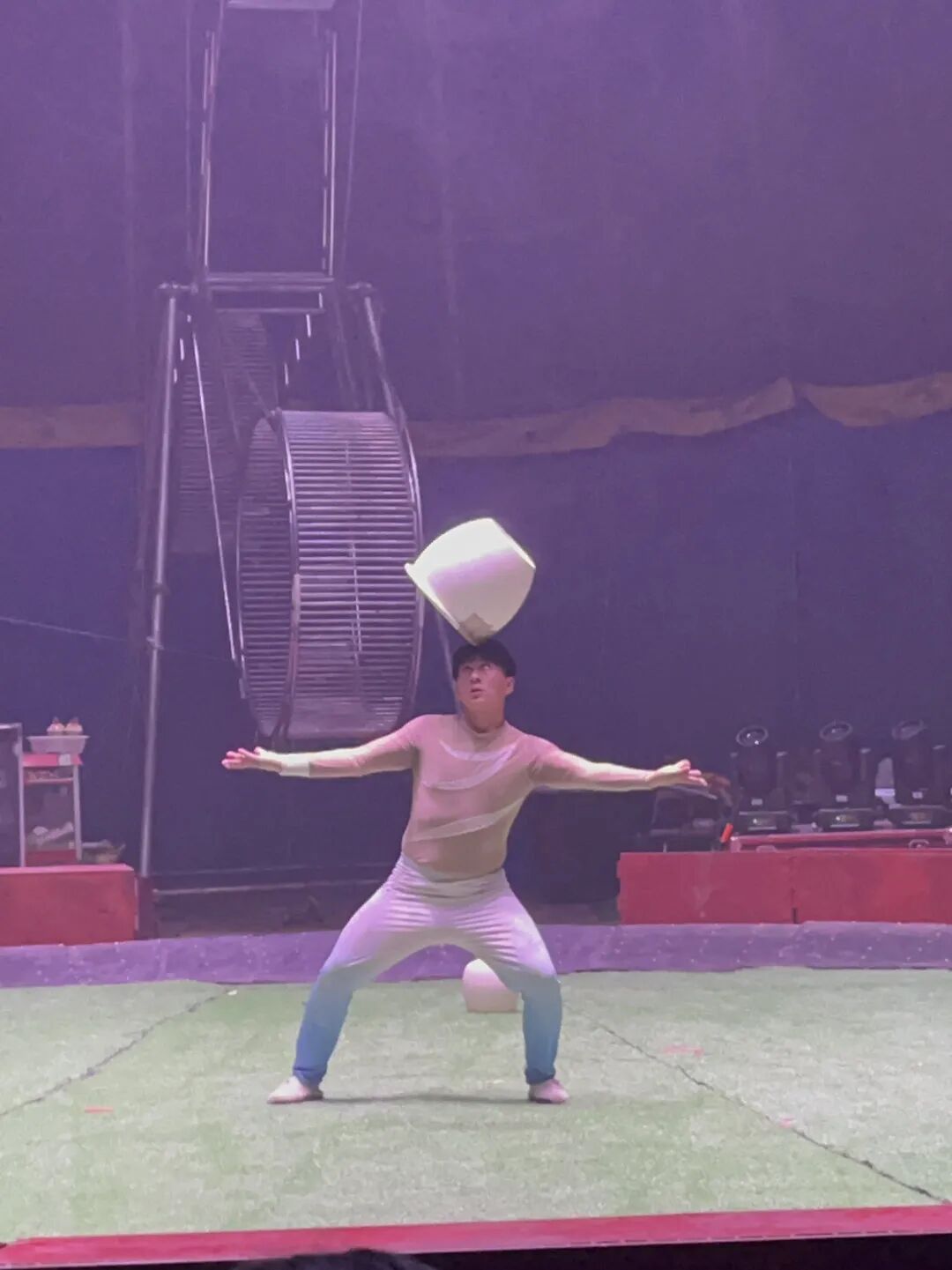 成都二环内居然还能看马戏团