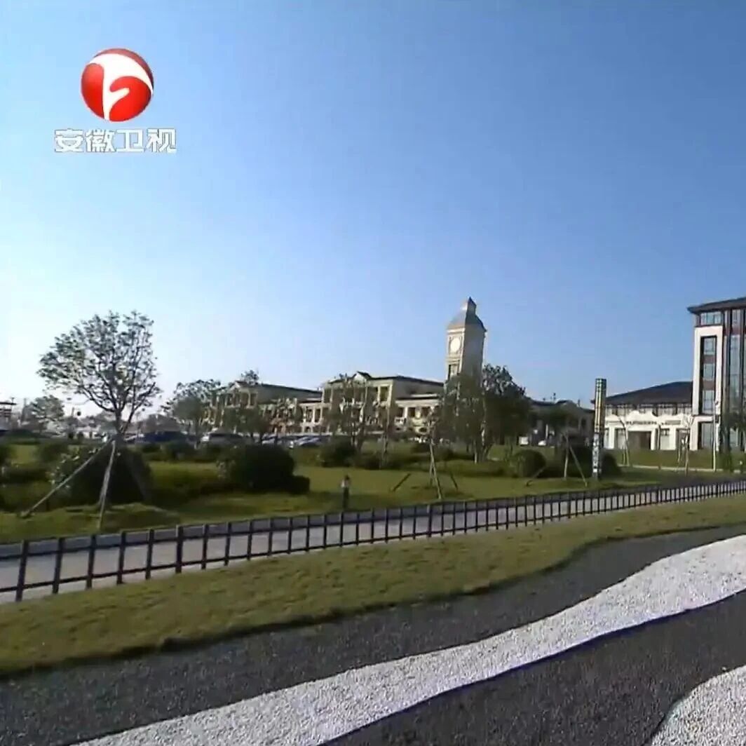 安徽省浙江商会