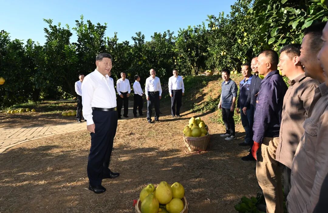 改革潮涌处 开放海天阔——习近平总书记赴海南、广东考察并出席第十五届全运会开幕式纪实