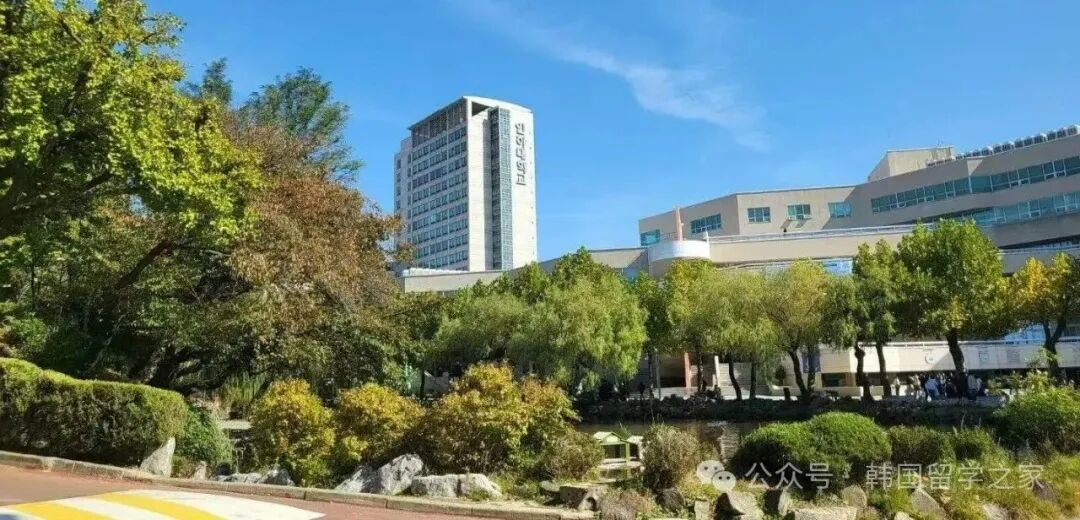 仁荷大学一年制中文授课硕士(图6)
