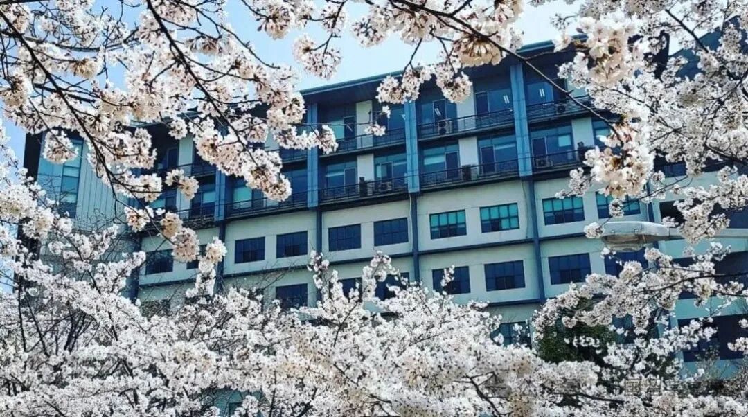 2026年3月嘉泉大学专升本入学简章(图10)