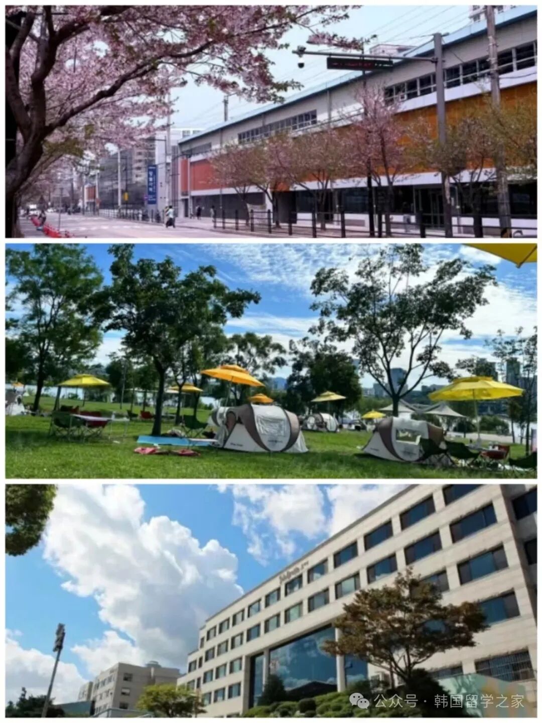 2026年3月信韩大学一年制中文授课专升本(图10)