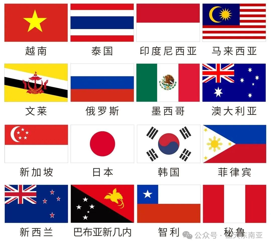 apec单页(3).jpg