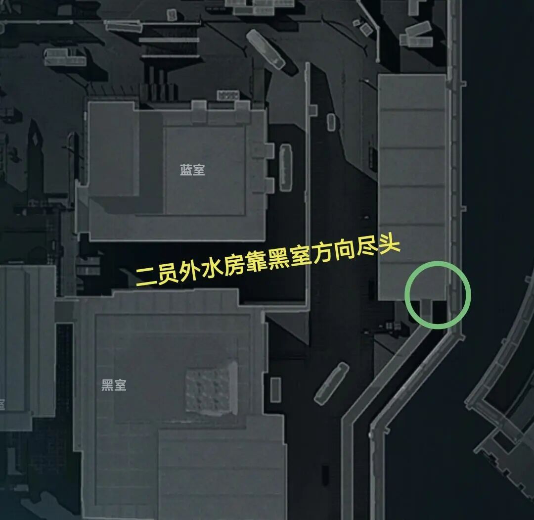 三角洲周年庆