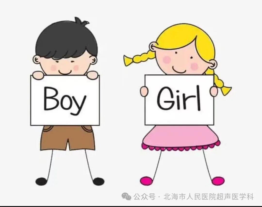 超声中什么黑什么白【超声科普】我做的彩超为什么是黑白的？超声可以鉴别男女吗？_https://www.jmylbn.com_新闻资讯_第7张