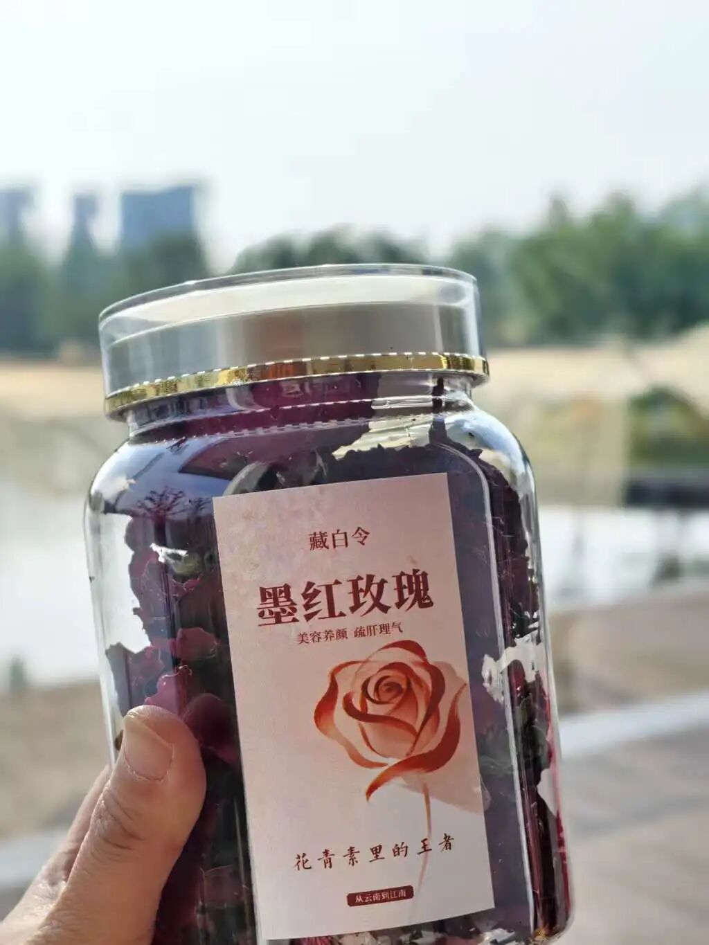 藏白令墨红玫瑰5份.jpg