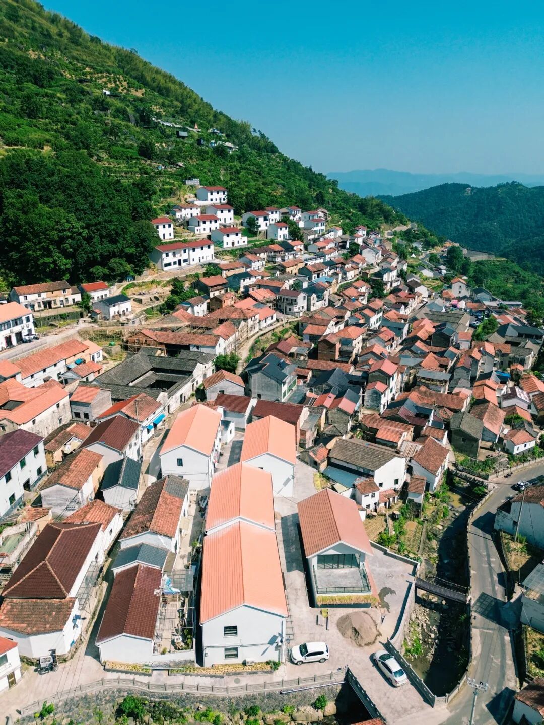 DJI_0783.jpg