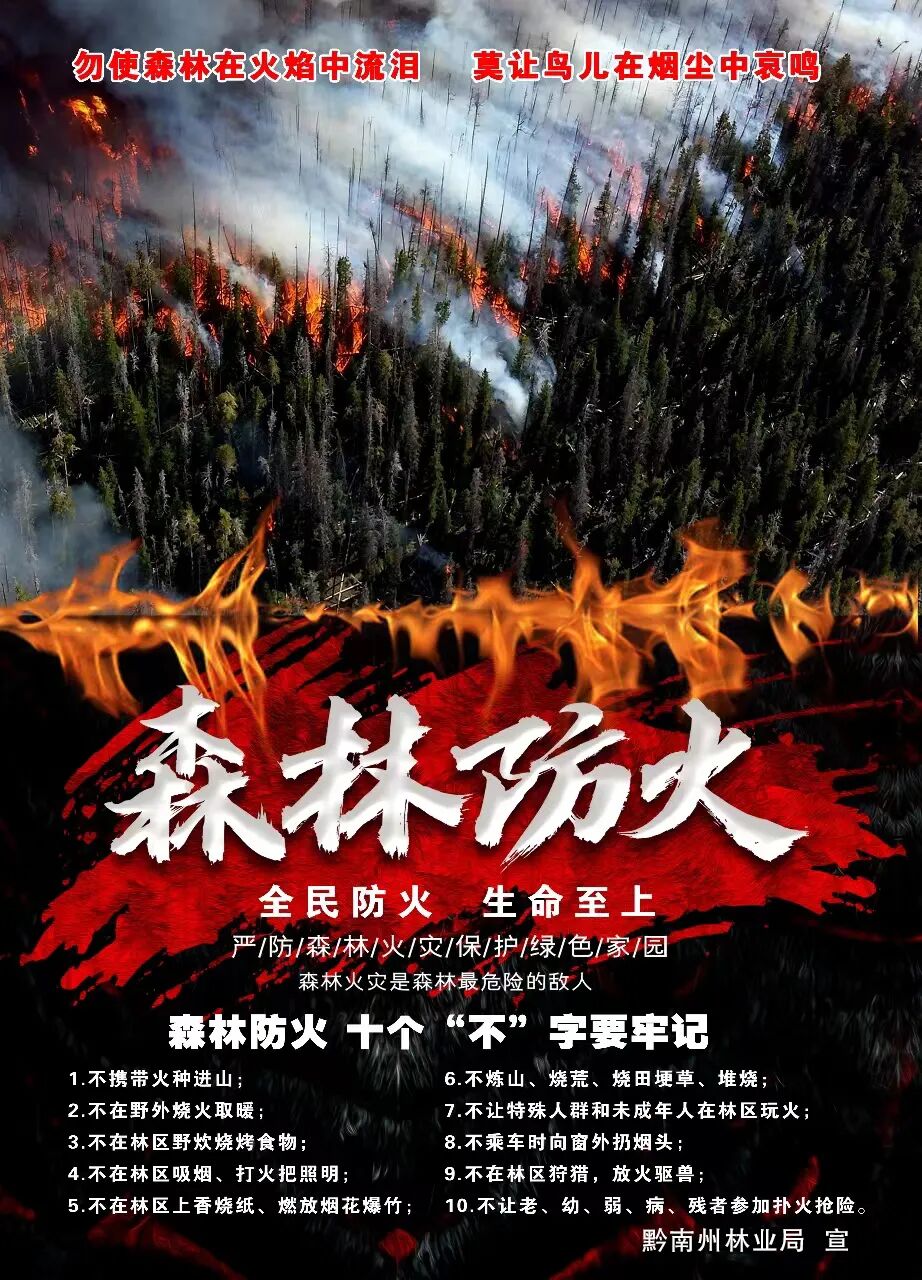 所有人春季山火高发请注意森林防火这组海报请查收